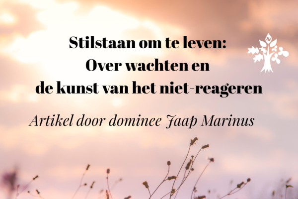 Stilstaan om te leven: Over wachten en de kunst van het niet-reageren